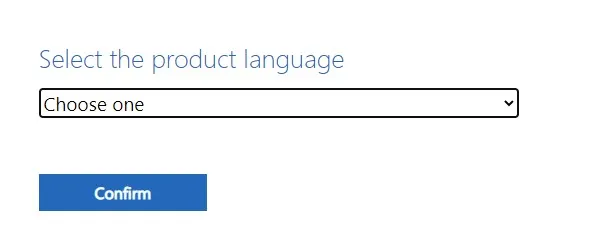 linguaggio del prodotto