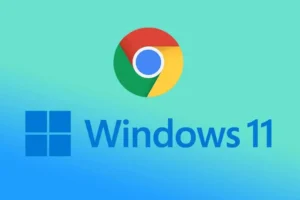 Oprava Google Chrome neustále padá v systému Windows 11 (12 metod)