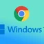 Google Chrome blijft crashen op Windows 11 oplossen (12 methoden)