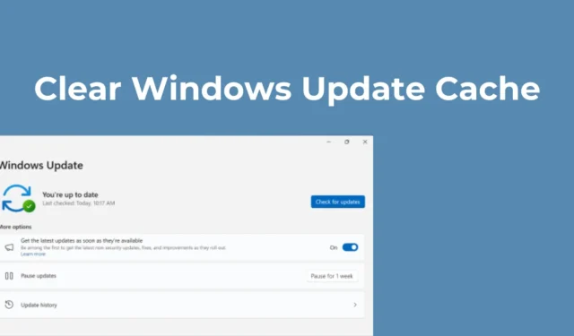 Comment vider le cache de Windows Update (4 méthodes)