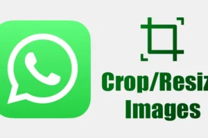 Comment recadrer ou redimensionner des images sur WhatsApp en 2024