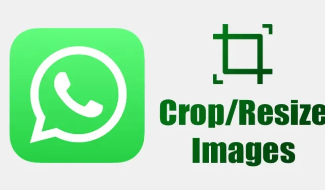 Come ritagliare o ridimensionare le immagini su WhatsApp nel 2024