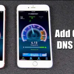 Как добавить собственный DNS-сервер на iPhone в 2024 году