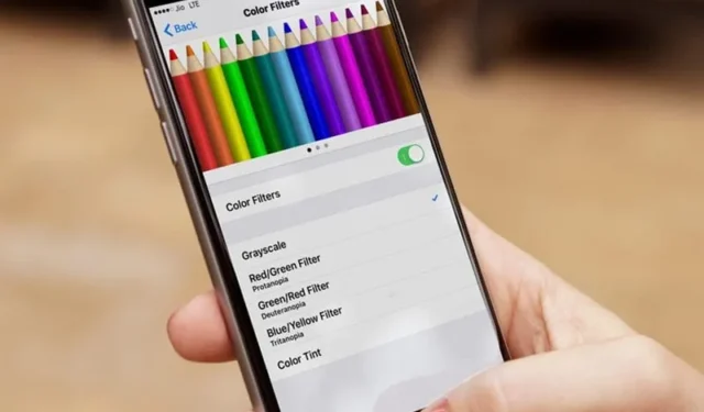iPhone または iPad でカラーフィルターを有効にする方法