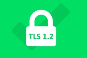 Cómo habilitar TLS 1.2 en cualquier edición de Windows (2024)