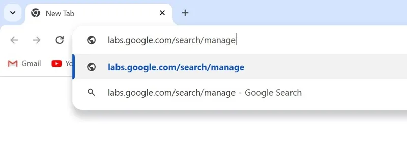 labs.google.com/search/manage