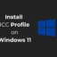 Cómo instalar el perfil ICC en Windows 11