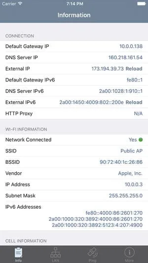 Намерете DNS сървър - iOS