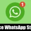 Hvordan redusere WhatsApp-lagringsplass i 2024