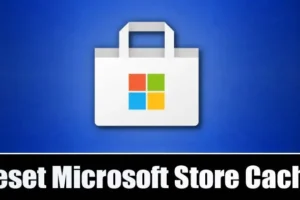 Cómo borrar la caché de Microsoft Store en Windows 11 (4 métodos)