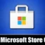 Kaip išvalyti „Microsoft Store“ talpyklą sistemoje „Windows 11“ (4 metodai)