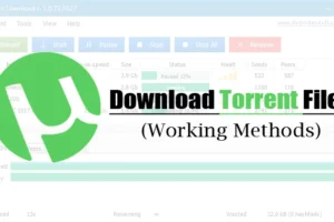 Hvordan laste ned Torrent-filer i 2024 (4 metoder)