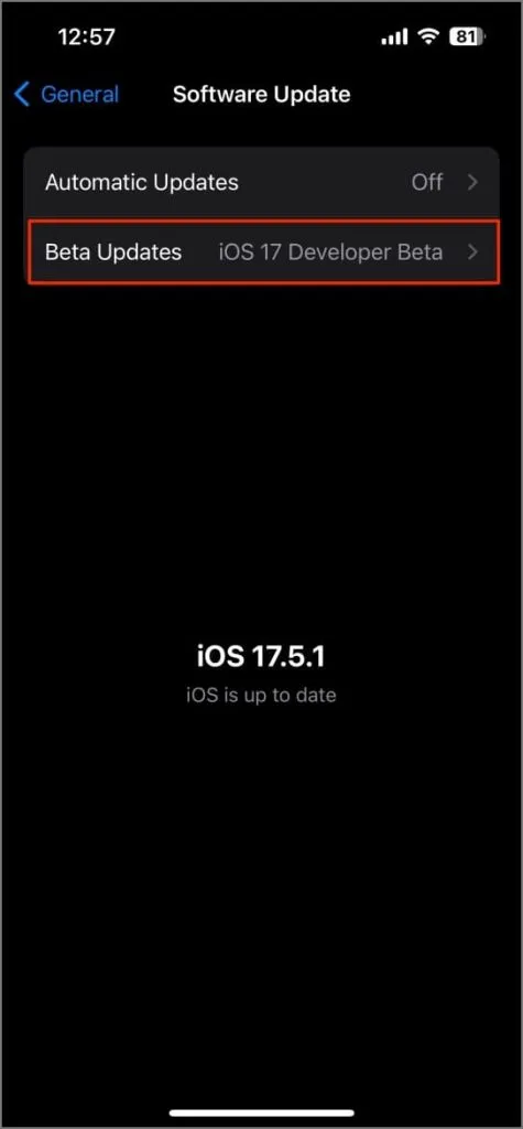 在 iPhone 上下載 iOS 18 開發者測試版更新