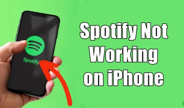 Spotify Not Working On iPhone? Here’s How To Fix It