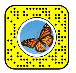 tauriņa lēcas snapcode