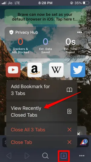 view recently closed tabs on Brave browser