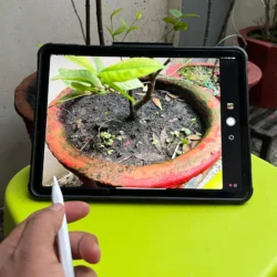 Вы можете использовать Apple Pencil в качестве кнопки камеры на вашем iPad