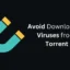 Cómo evitar la descarga de virus desde torrent