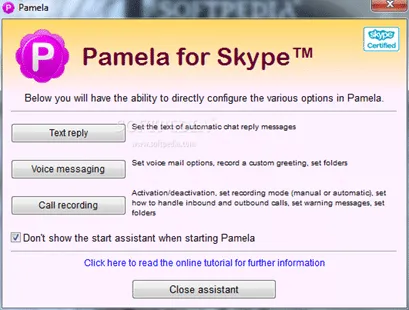 Pamela Skype를 위해