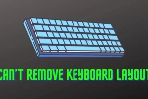 Come risolvere il problema di Impossibile rimuovere il layout della tastiera in Windows 11