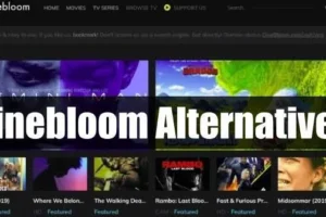 Top 10 des alternatives à Cinebloom pour le streaming de films HD en 2024