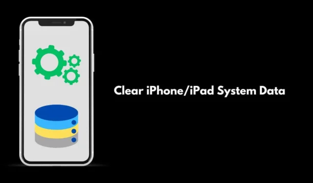Schritte zum Löschen von Systemdaten auf iPhone und iPad im Jahr 2024