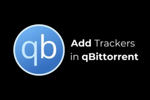 2024 Guide: Tilføjelse af trackere i qBittorrent