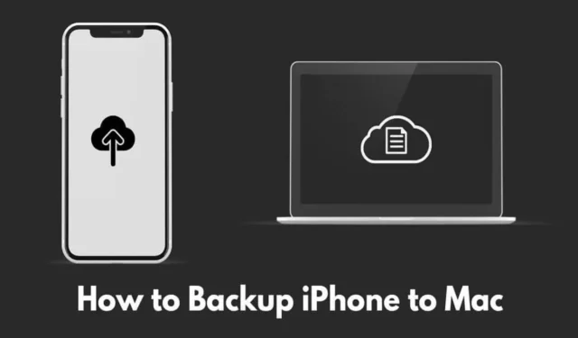 Guia definitivo: faça backup do seu iPhone para Mac em 2024