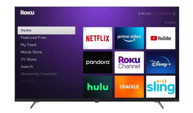 Roku 기기에서 YouTube 차단을 위한 단계별 가이드