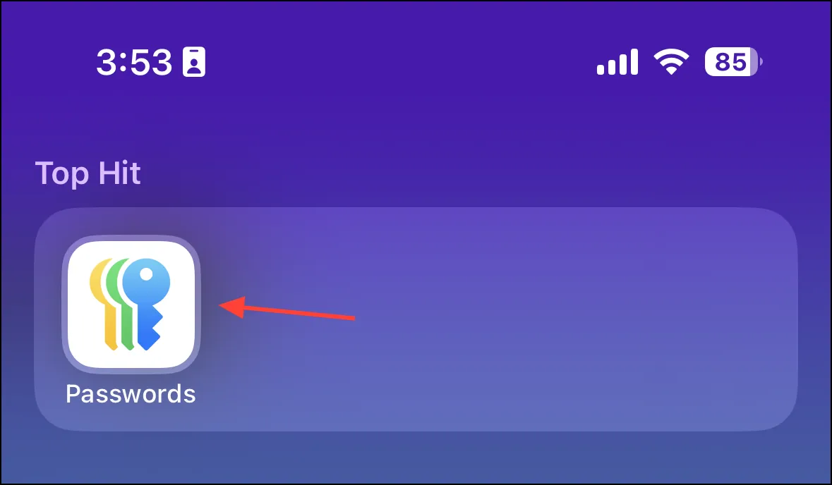 App per le password di iOS 18