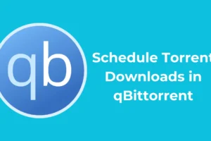 在 qBittorrent 中有效安排 Torrent 下載