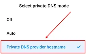 Имя хоста частного DNS-провайдера