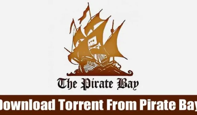 Handleiding voor veilig downloaden van The Pirate Bay in 2024