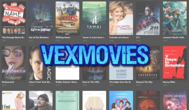 2024년 최고의 VexMovies 대안 10선 – 시청의 즐거움을 위한 VexMovies와 유사한 사이트