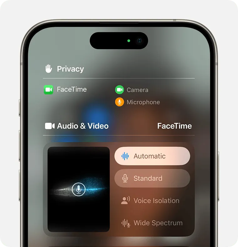 Automatischer Mikrofonmodus in iOS 18