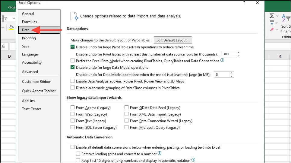 Excel のデータ オプション