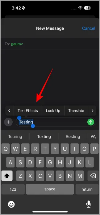 Teksteffecten in de iOS 18 Berichten-app