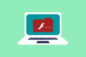 „Adobe Flash Player“ atblokavimas sistemoje „Windows 11“: nuoseklus vadovas