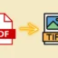 Die 10 besten Softwarelösungen zur Konvertierung von PDF in TIFF (sowohl offline als auch online)