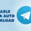 Disattiva i download automatici dei media in Telegram per dispositivi mobili e desktop