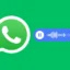 Guida per scaricare i messaggi vocali su WhatsApp