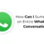 Maneiras de resumir efetivamente uma conversa completa do WhatsApp