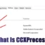 Разбиране на CCXProcess.exe: Стъпки за деактивирането му