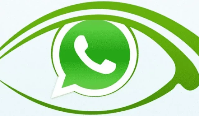 5 effektive metoder til at holde WhatsApp altid online