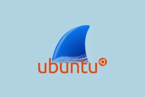 Ubuntu に Wireshark をインストールするためのステップバイステップ ガイド