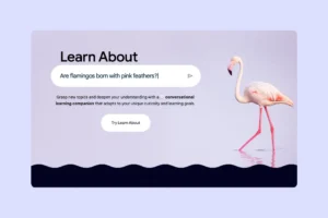 Иновативният инструмент на Google Learn About подобрява увлекателните учебни изживявания