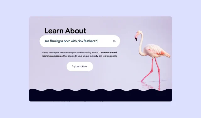 Googles innovatives Tool „Learn About“ verbessert spannende Lernerlebnisse