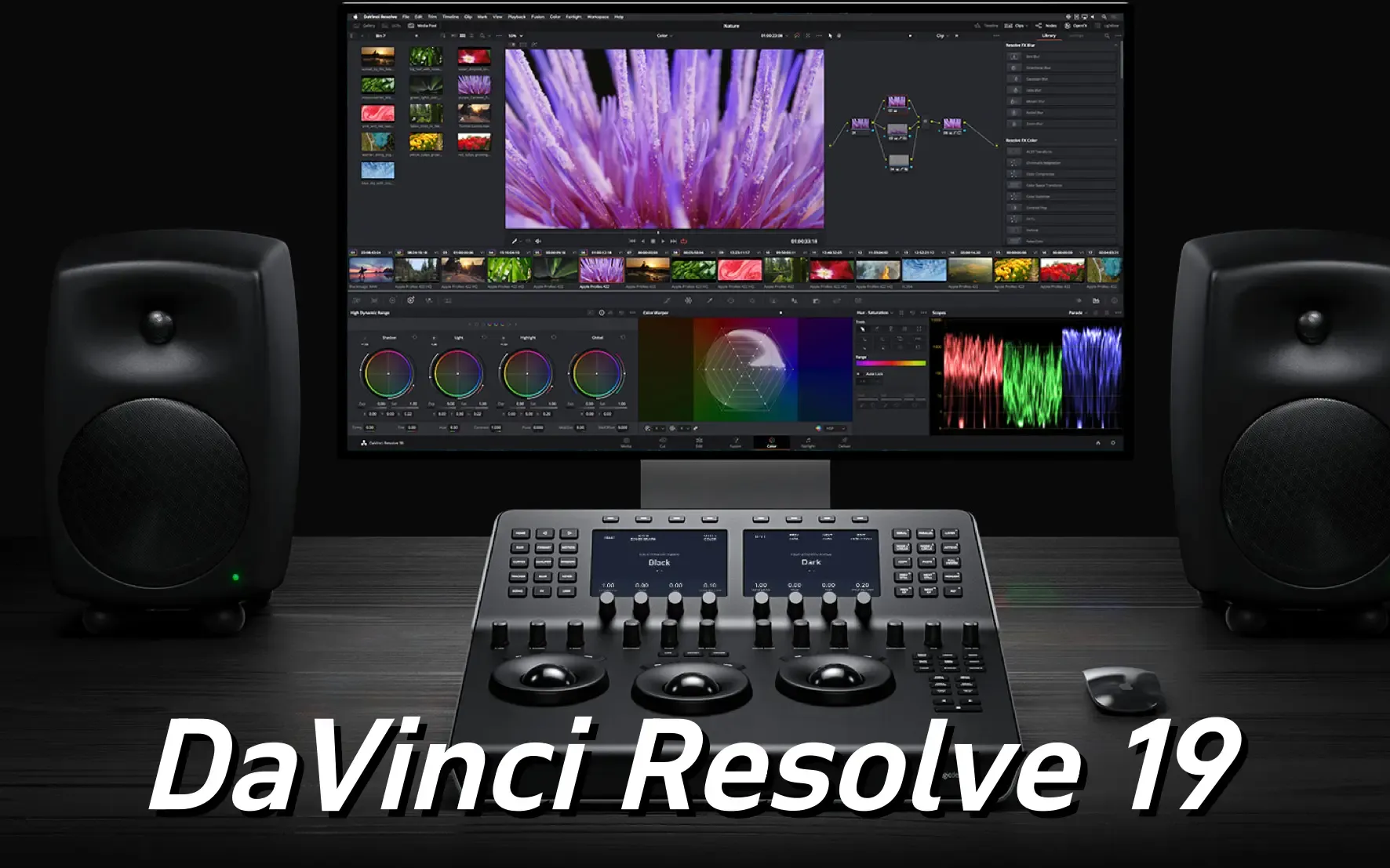 Panoramica di DaVinci Resolve 19