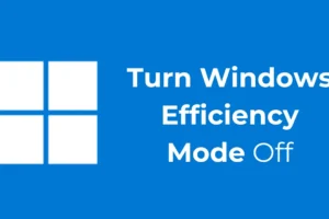 Windows 効率モードを無効にする: ステップバイステップ ガイド