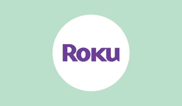 2024-2025 年 Roku 裝置排名前 5 名的 Web 瀏覽器